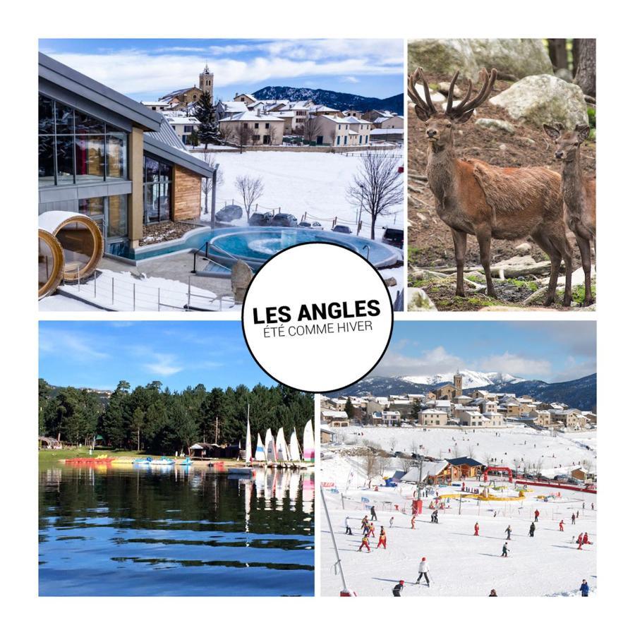 Le Petit Ours & Le Petit Cerf - Studios Vue Lac & Montagnes Les Angles  Buitenkant foto